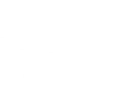 Eddra Çalışan Mutluluğu & Aile Günü Aktiviteleri