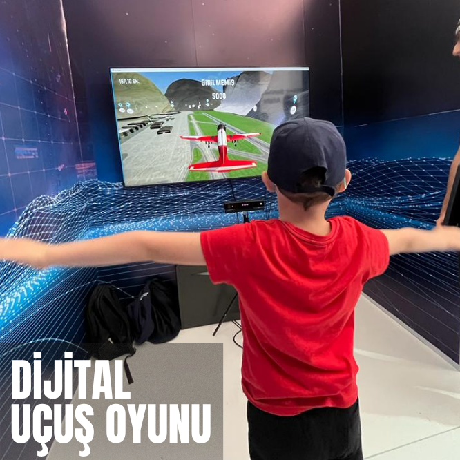 Digital Flying Game
