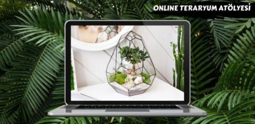 Special Workshops (Online)